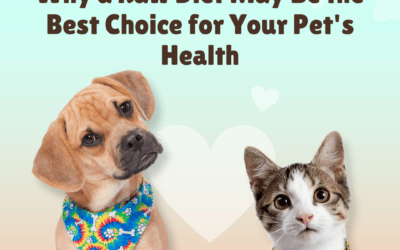 Why a Raw Diet May Be the Best Choice for Your Pet’s Health