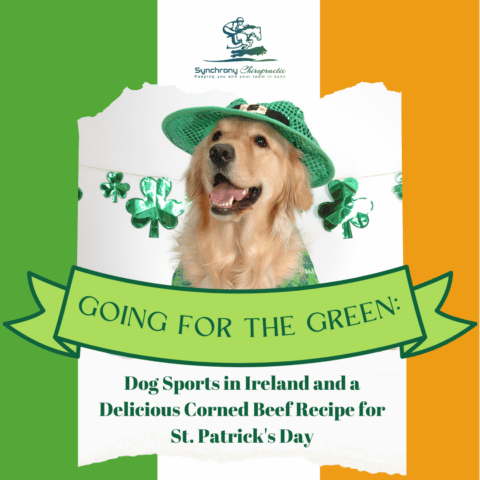 Going for the Green: Dog Sports in Ireland and a Delicious Corned Beef Recipe for St. Patrick’s Day