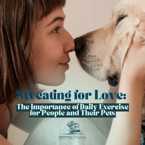 Sweating for Love: The Importance of Daily Exercise for People and Their Pets