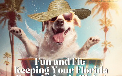Fun and Fit: Keeping Your Florida Dogs Active in Rising Spring Temperatures