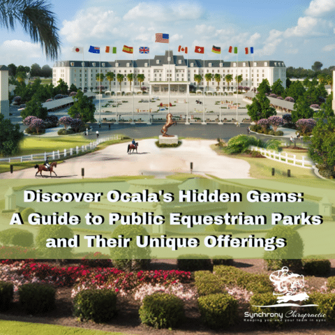 Discover Ocala’s Hidden Gems: A Guide to Public Equestrian Parks and Their Unique Offerings
