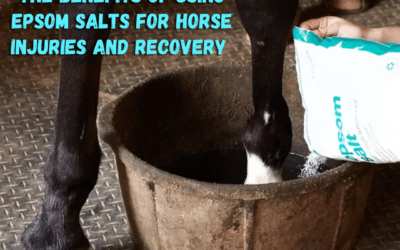 Soothing and Healing: The Benefits of Using Epsom Salts for Horse Injuries and Recovery