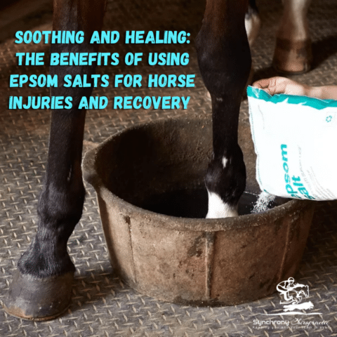 Soothing and Healing: The Benefits of Using Epsom Salts for Horse Injuries and Recovery