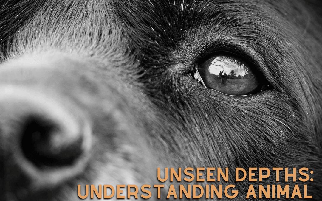 Unseen Depths: Understanding Animal Emotional Intelligence and How to Support Mourning Pets