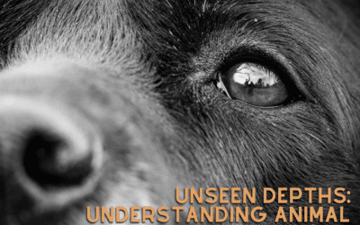 Unseen Depths: Understanding Animal Emotional Intelligence and How to Support Mourning Pets