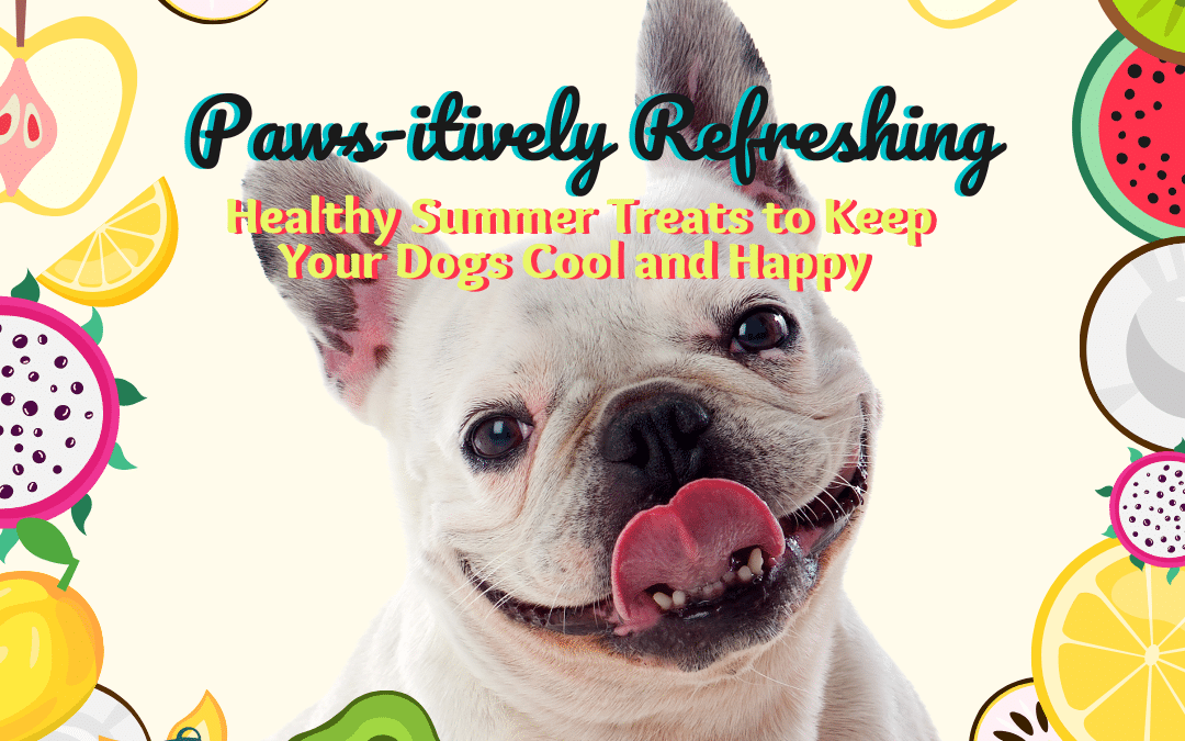 Paws-itively Refreshing: Healthy Summer Treats to Keep Your Dogs Cool and Happy