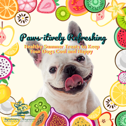 Paws-itively Refreshing: Healthy Summer Treats to Keep Your Dogs Cool and Happy