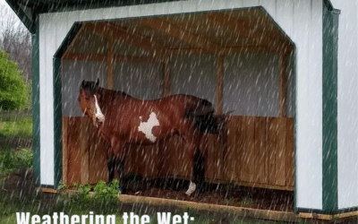 Weathering the Wet: Protecting Your Horse in Soggy Conditions