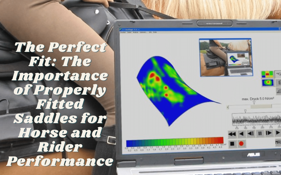 The Perfect Fit: The Importance of Properly Fitted Saddles for Horse and Rider Performance