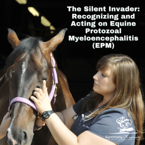 The Silent Invader: Recognizing and Acting on Equine Protozoal Myeloencephalitis (EPM)