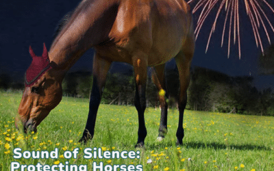 Sound of Silence: Protecting Horses from Thunder, Gunshots, and Fireworks