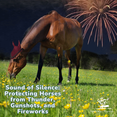 Sound of Silence: Protecting Horses from Thunder, Gunshots, and Fireworks