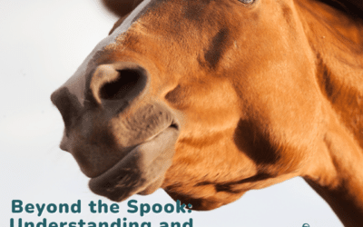 Beyond the Spook: Understanding and Addressing the Startle Reflex in Horses