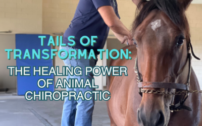 Tails of Transformation: The Healing Power of Animal Chiropractic