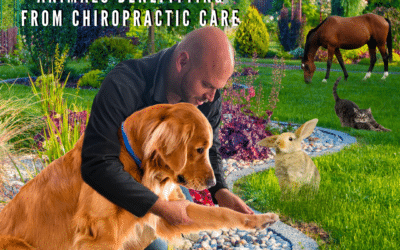 A Chorus of Wellness: The Diverse World of Animals Benefitting from Chiropractic Care