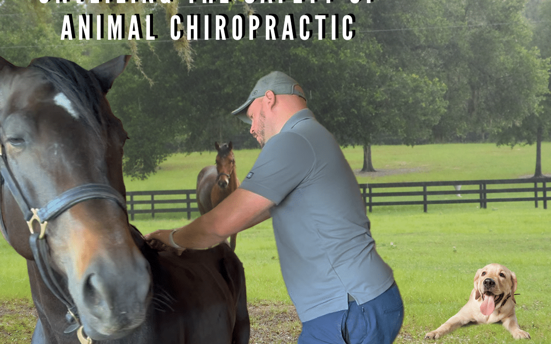 Gentle Harmonies: Unveiling the Safety of Animal Chiropractic