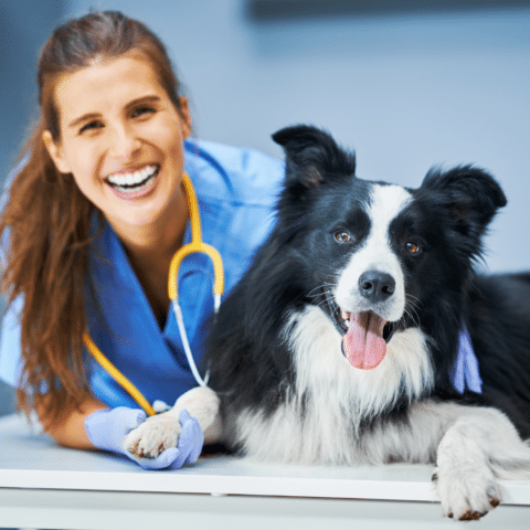 Animal Care Near Me: Vet’s Secret to a Happy Pet!