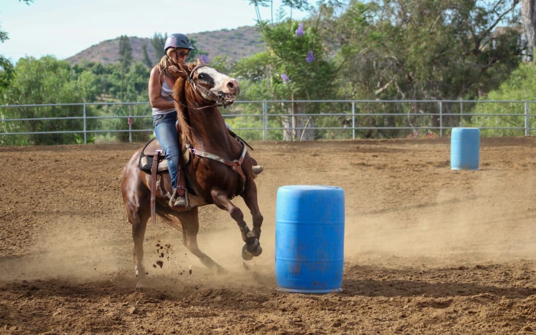 Chiropractic Care for Barrel Racing Horses