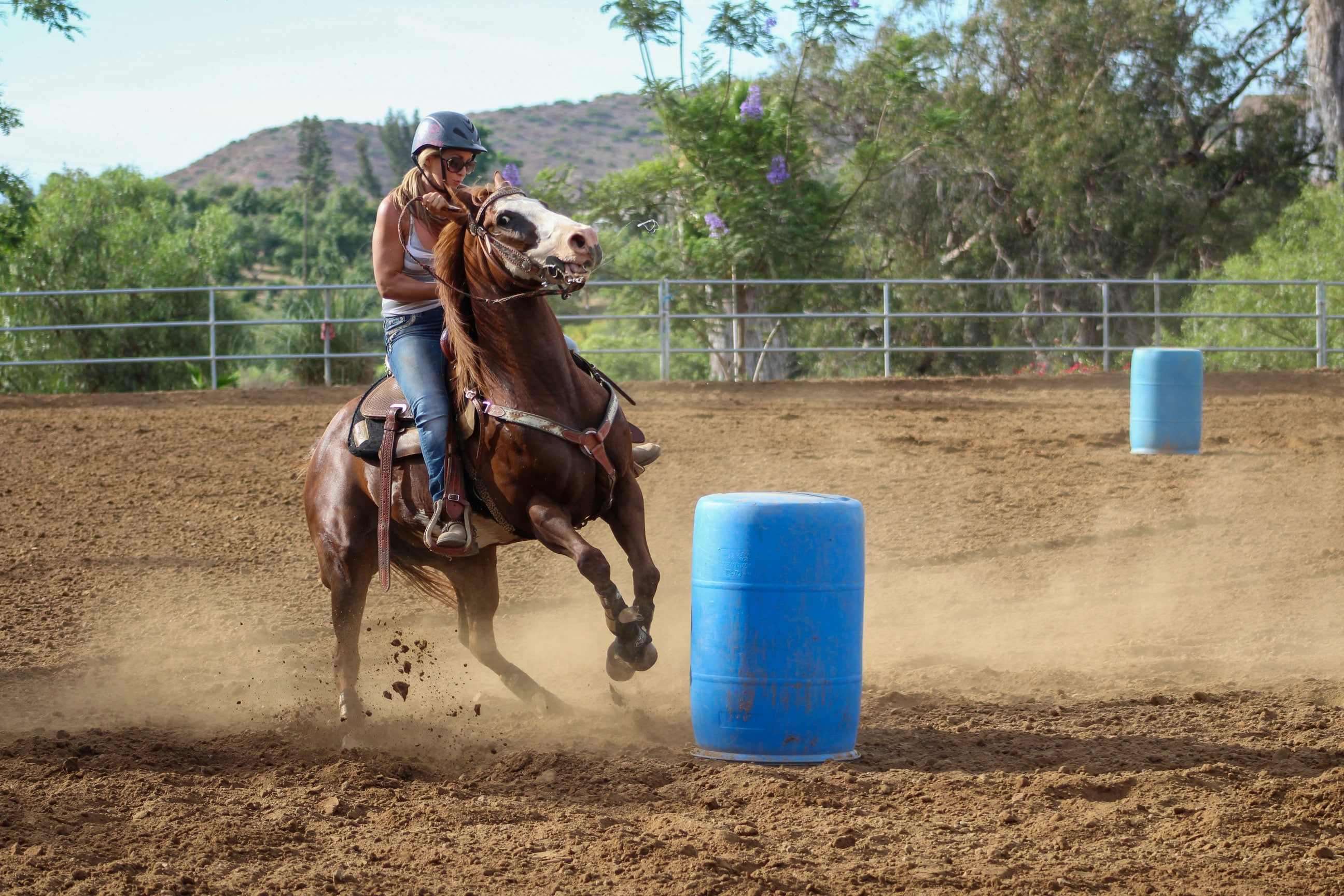 Chiropractic Care for Barrel Racing Horses